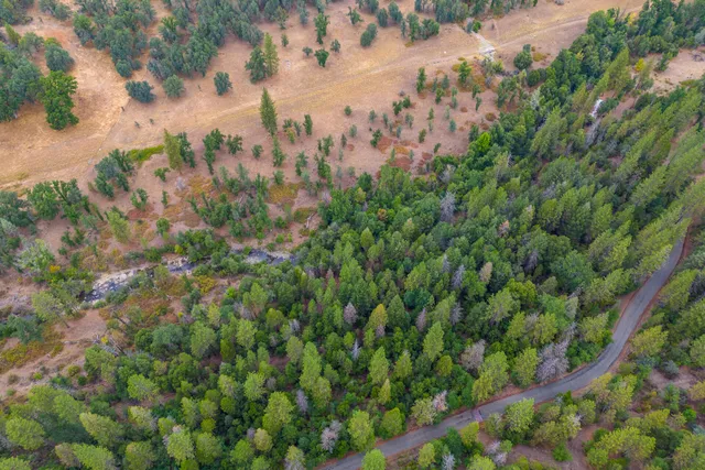 $400,000 | Ponderosa Way-198 Acres Avenue, Shingletown, CA 96088