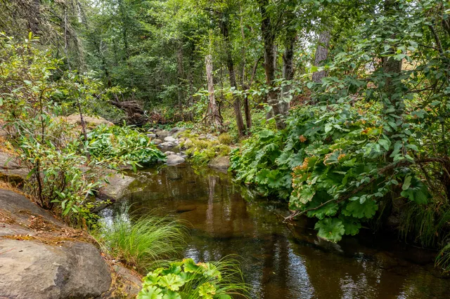 $400,000 | Ponderosa Way-198 Acres Avenue, Shingletown, CA 96088