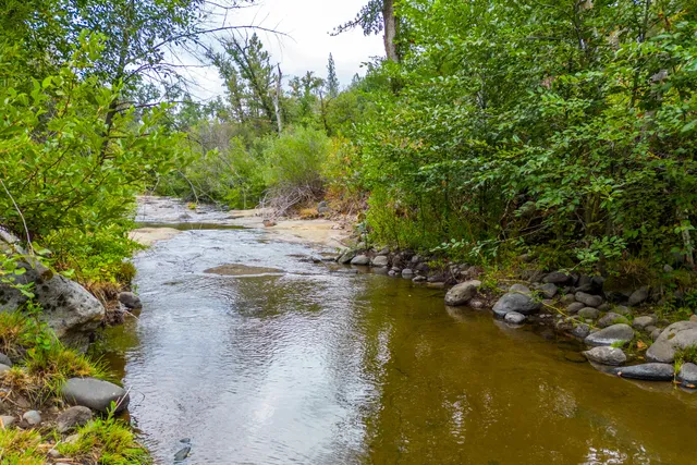 $400,000 | Ponderosa Way-198 Acres Avenue, Shingletown, CA 96088