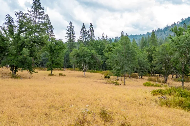 $400,000 | Ponderosa Way-198 Acres Avenue, Shingletown, CA 96088