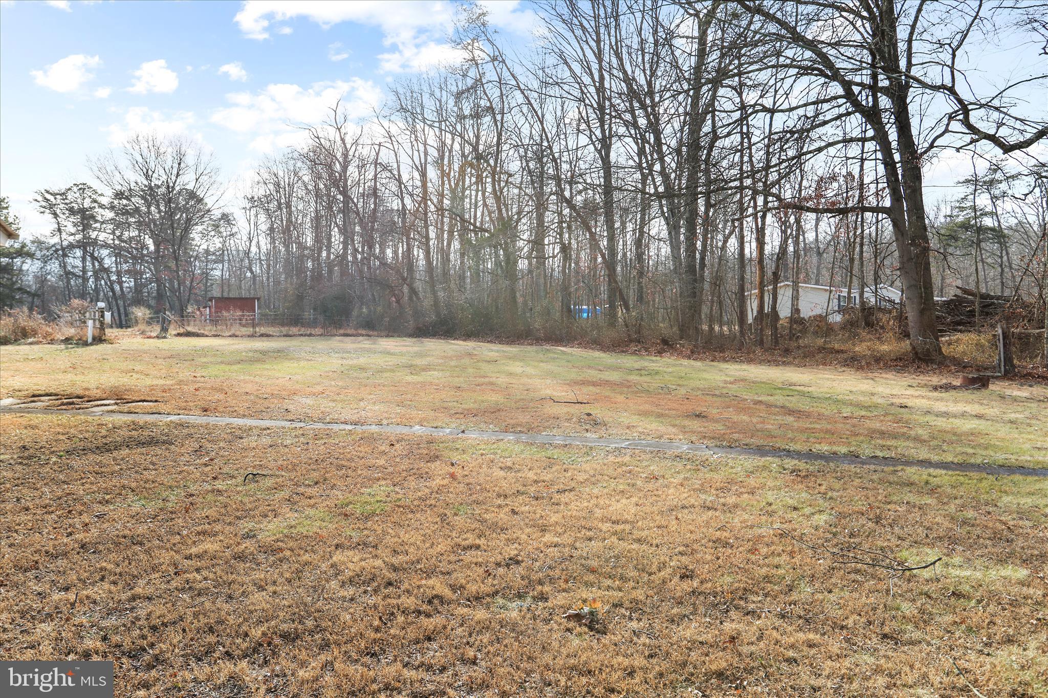 146 Miracle Drive Springfield, WV 26763 - Photo 32 of 40 a view of a yard with a trees