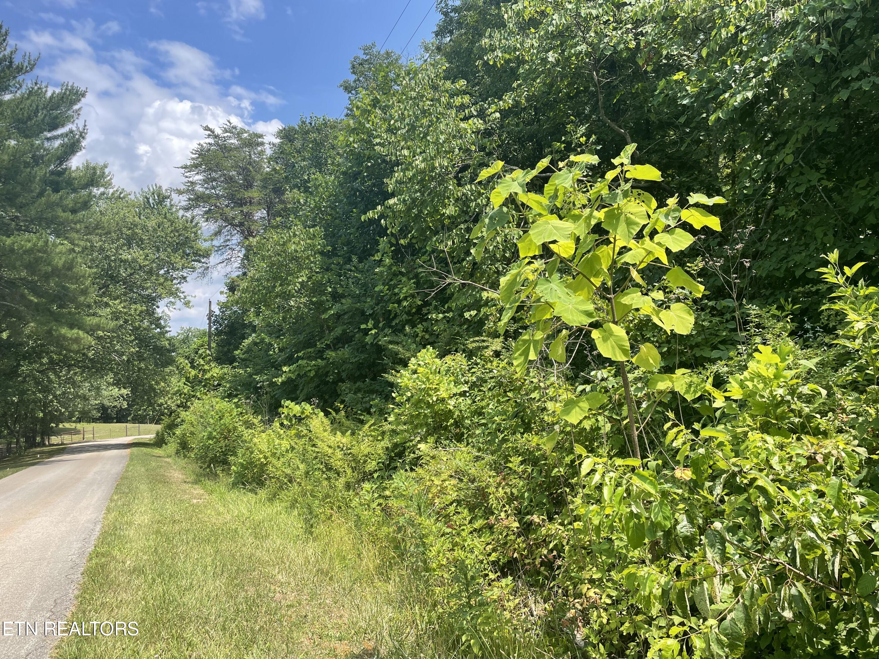 Skyline Drive Harriman, TN 37748 - Photo 4 of 8 IMG_3660