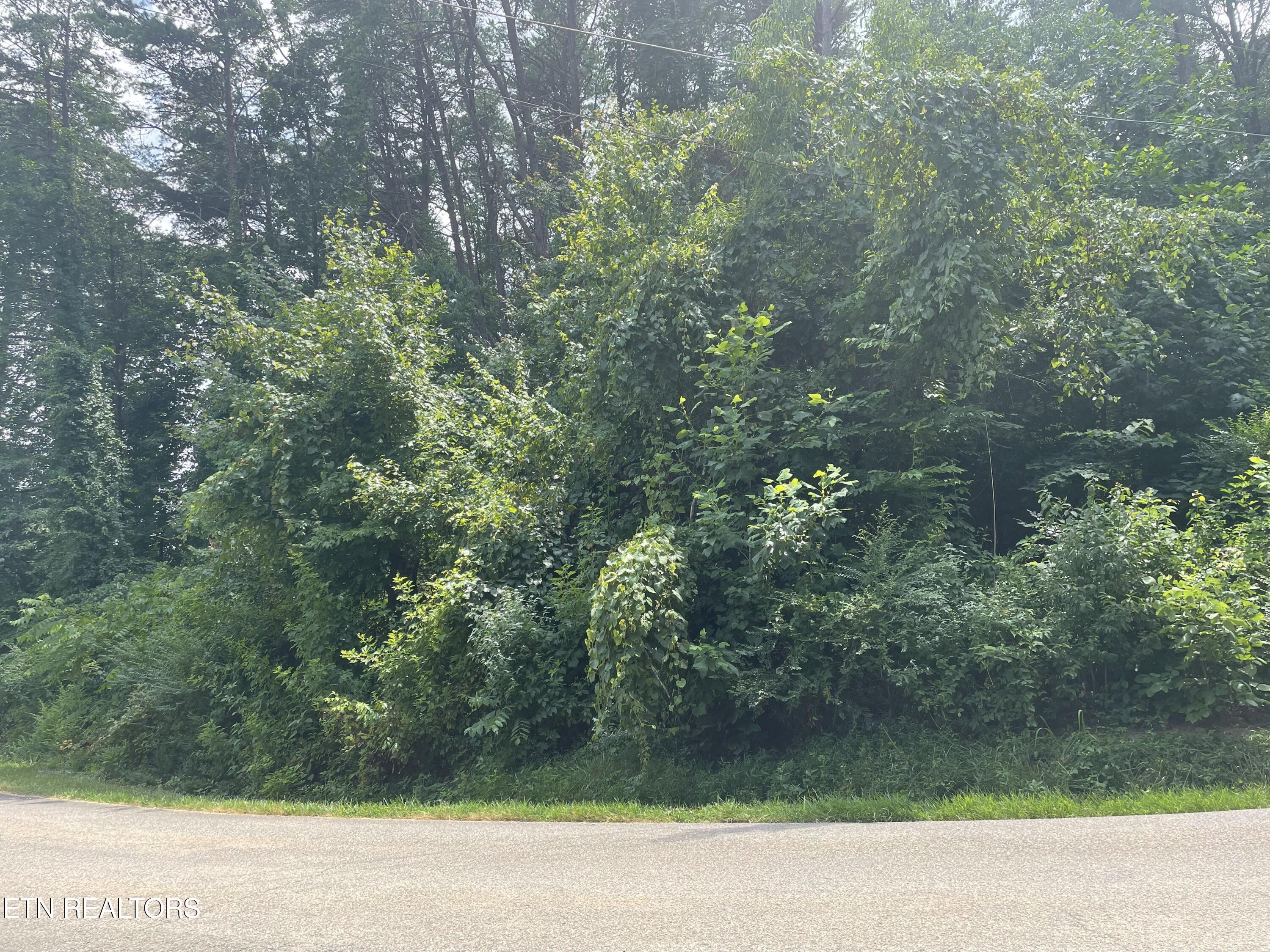 Skyline Drive Harriman, TN 37748 - Photo 6 of 8 IMG_3664