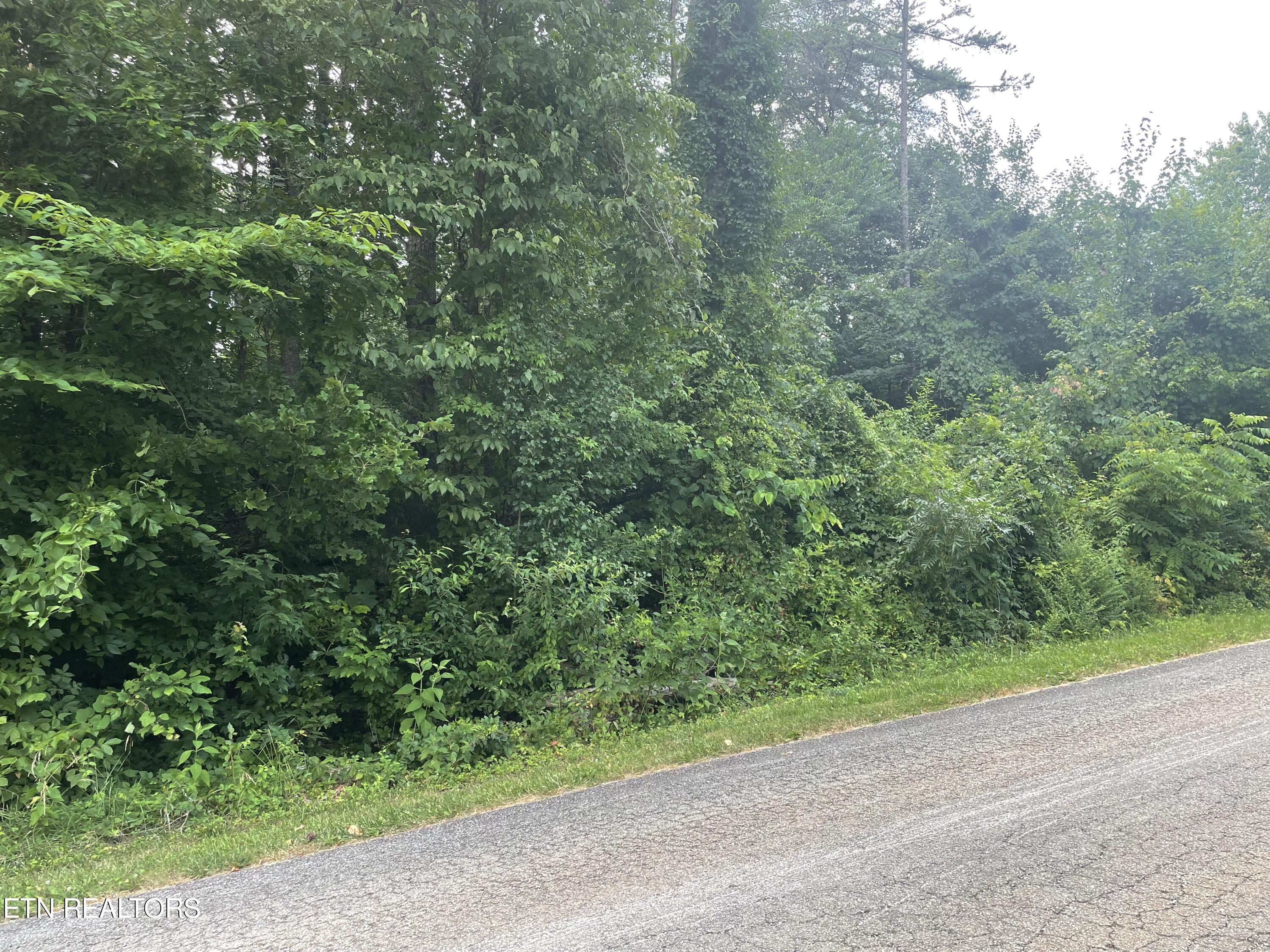 Skyline Drive Harriman, TN 37748 - Photo 7 of 8 IMG_3665