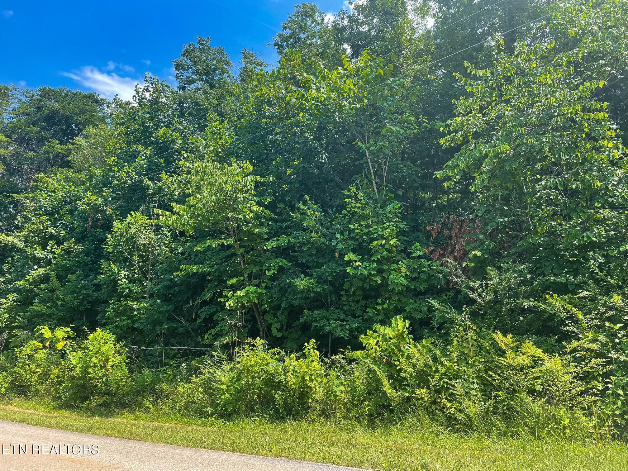 Skyline Drive Harriman, TN 37748 - Photo 8 of 8 IMG_3673