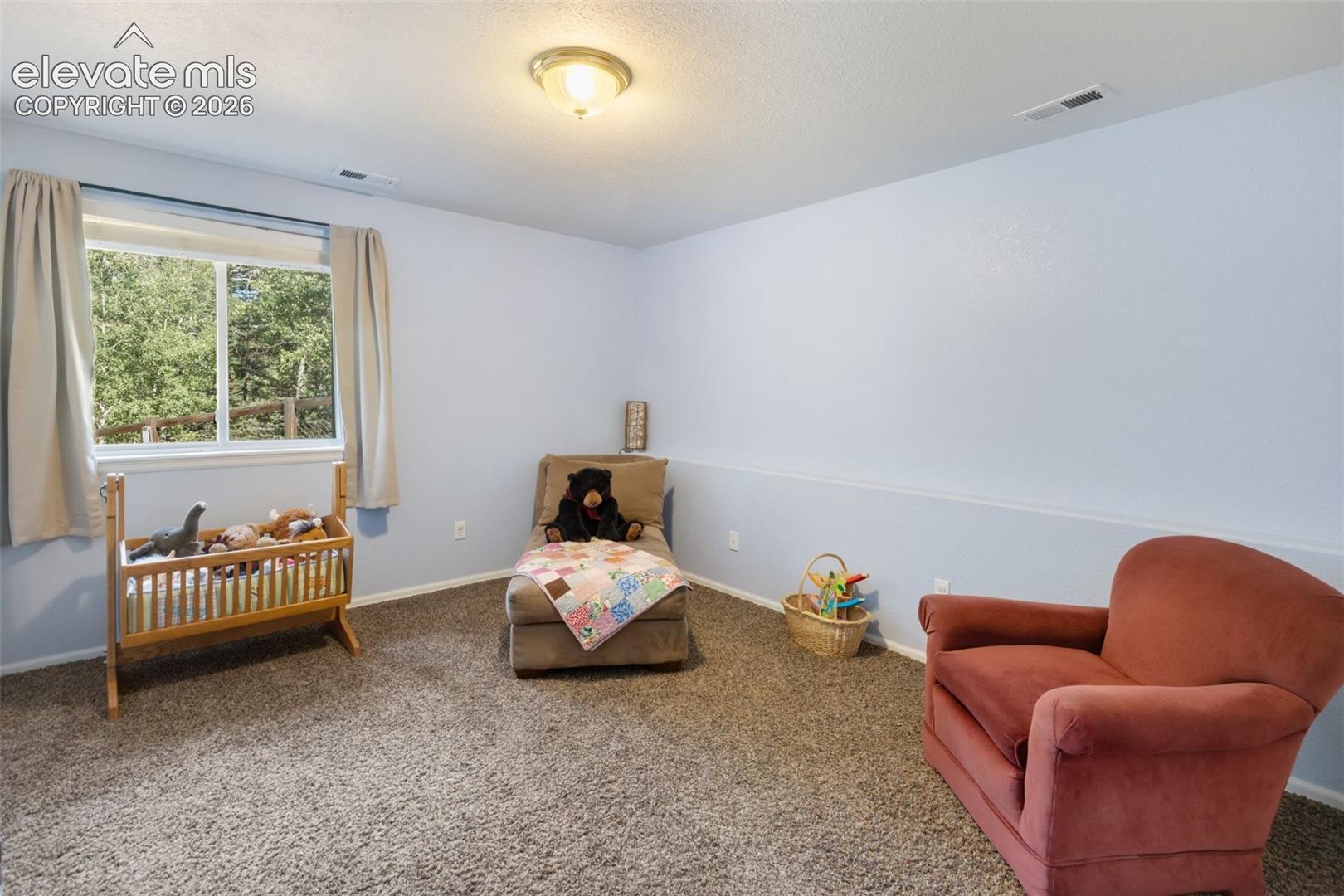 1121 Ridge Road Divide, CO 80814 - Photo 25 of 50 Gallery Image 25