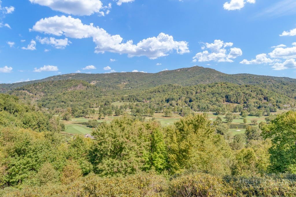 500 Laurel Ridge Lane, Unit B1 Banner Elk, NC 28604 - Photo 30 of 47 Gallery Image 30