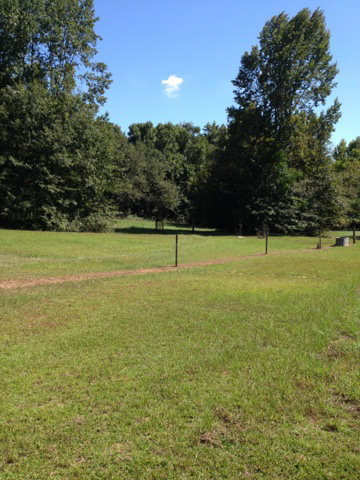 7781 Nowell Road South Macon, GA 31216 - Photo 5 of 6 a view of a tennis court