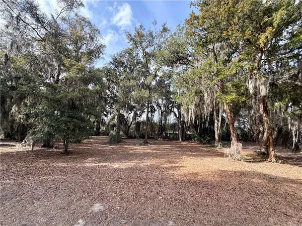 $62,500 | Lot 609 Sutherland Bluff Northeast, Townsend, GA 31331