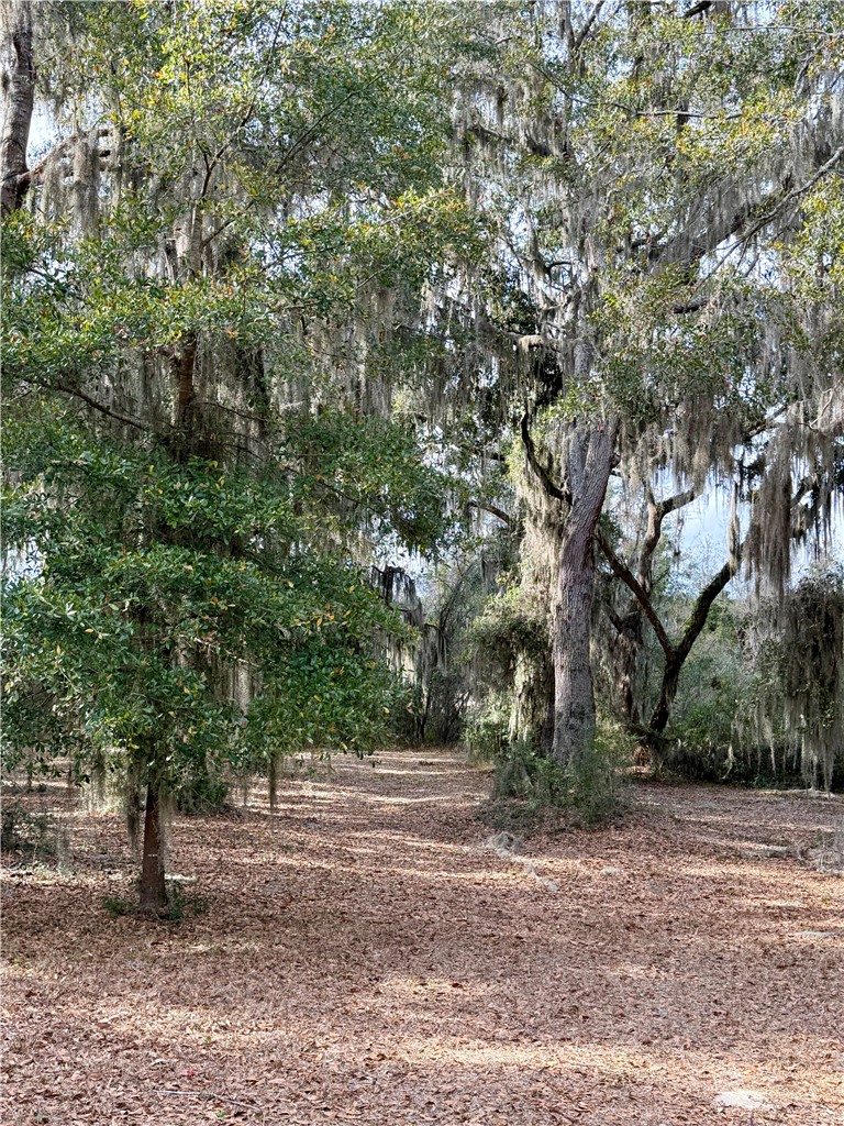 Lot 609 Sutherland Bluff Northeast Townsend, GA 31331 - Photo 2 of 7