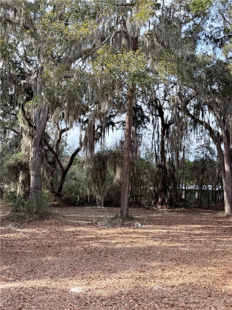 Lot 609 Sutherland Bluff Northeast Townsend, GA 31331 - Photo 3 of 7