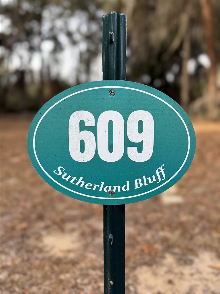 Lot 609 Sutherland Bluff Northeast Townsend, GA 31331 - Photo 4 of 7