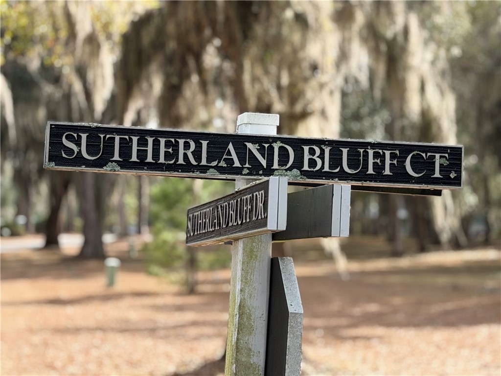 Lot 609 Sutherland Bluff Northeast Townsend, GA 31331 - Photo 5 of 7