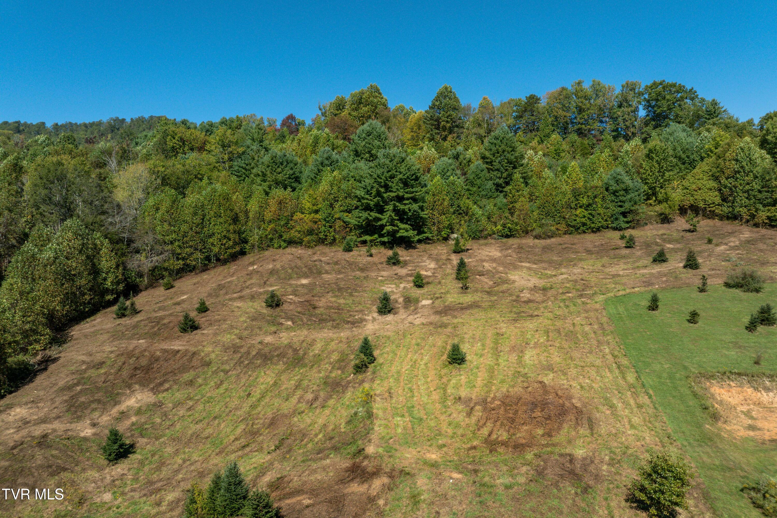 1311 Deer Run Road Mountain City, TN 37683 - Photo 2 of 28 Deer Run Road (20 of 37)