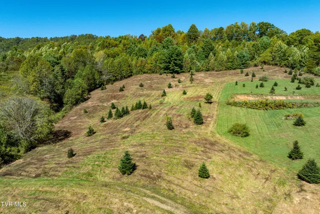 $445,000 | 1311 Deer Run Road, Mountain City, TN 37683