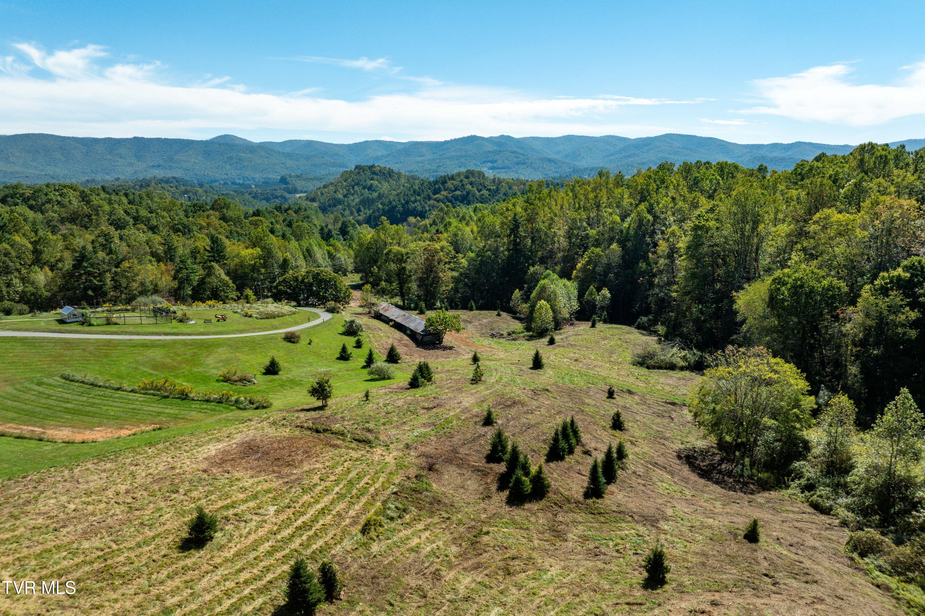 1311 Deer Run Road Mountain City, TN 37683 - Photo 5 of 28 Deer Run Road (25 of 37)