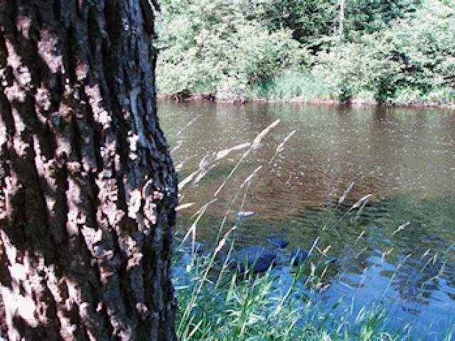 W6994 Highway 70 Fifield, WI 54524 - Photo 11 of 16 Gallery Image 11