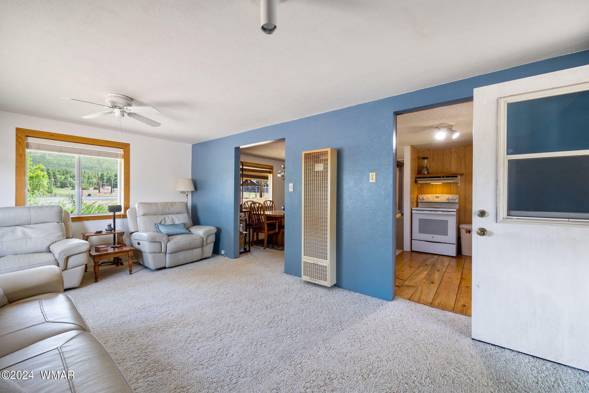 40 Cr2051 Alpine, AZ 85920 - Photo 11 of 27