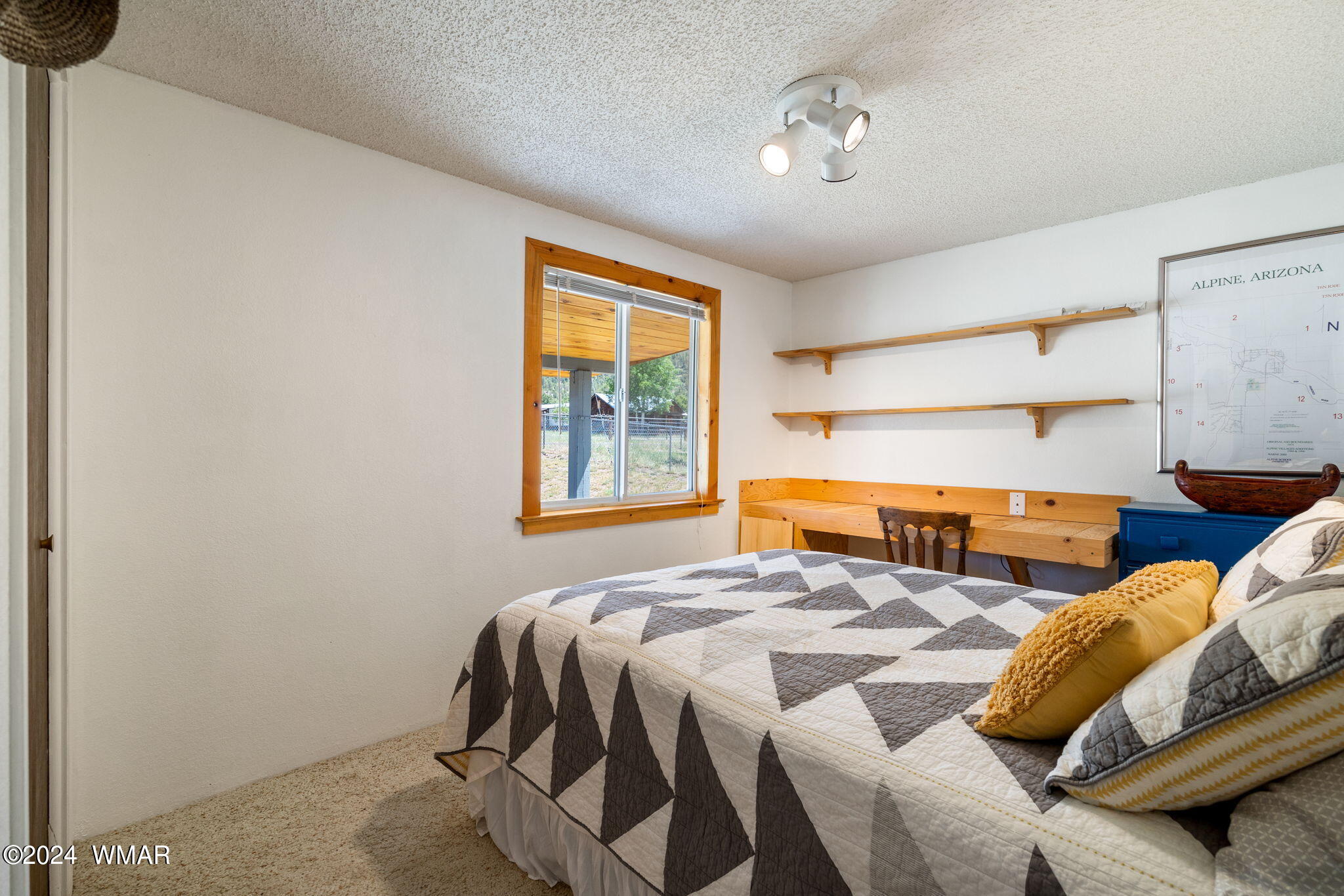 40 Cr2051 Alpine, AZ 85920 - Photo 16 of 27
