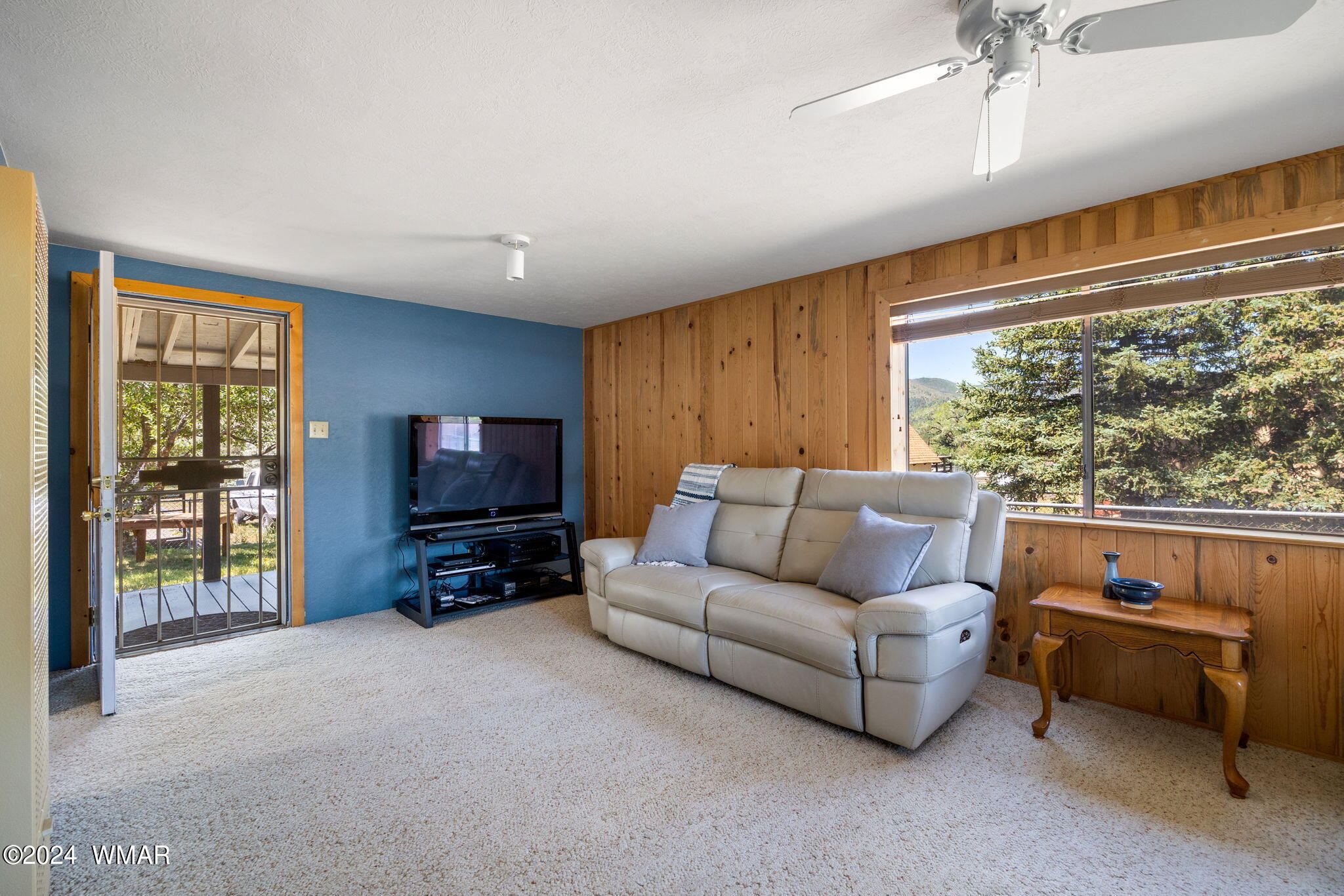 40 Cr2051 Alpine, AZ 85920 - Photo 10 of 27