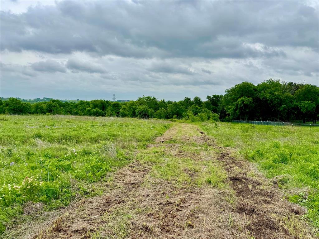 0 Old Josephine Road Farmersville, TX 75442 - Photo 11 of 15 a view of a garden with plants and large trees