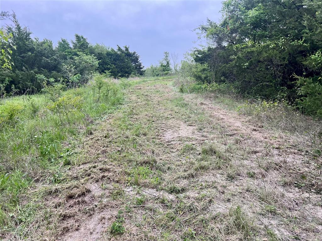 0 Old Josephine Road Farmersville, TX 75442 - Photo 9 of 15 a view of a trees with a yard