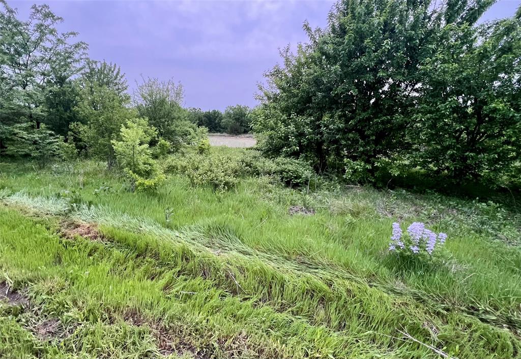 0 Old Josephine Road Farmersville, TX 75442 - Photo 10 of 15 a backyard of a house with lots of green space and trees all around