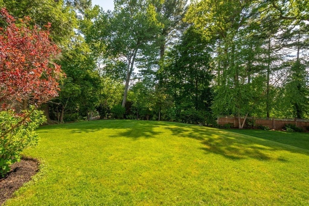 39 Lawton Road Needham, MA 02492 - Photo 37 of 40