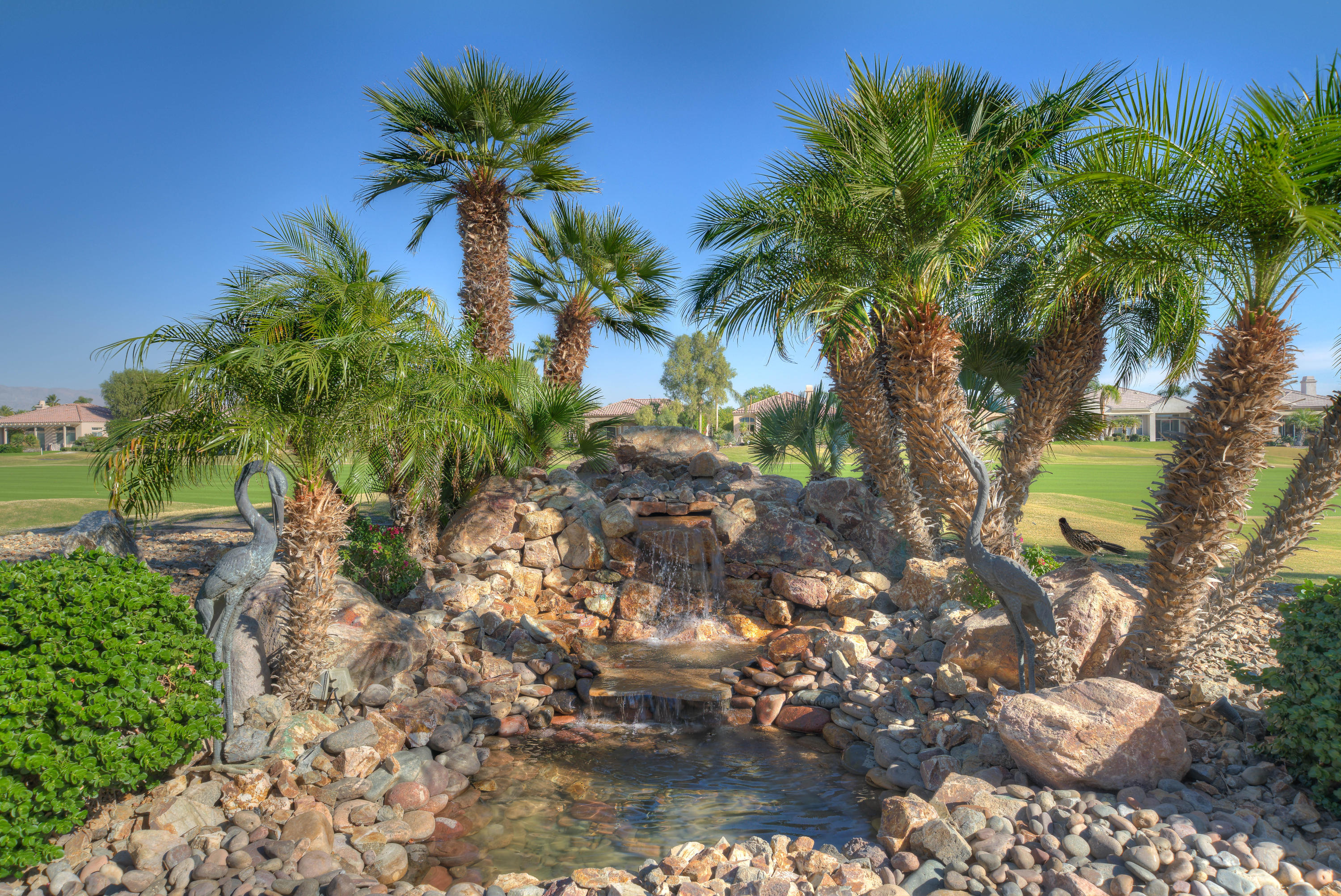 4 Vía Verde Rancho Mirage, CA 92270 - Photo 47 of 63 a view of a palm trees in a yard