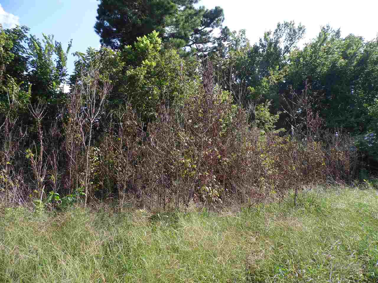 137 McClerkin Road Burlison, TN 38015 - Photo 3 of 4 Gallery Image 3