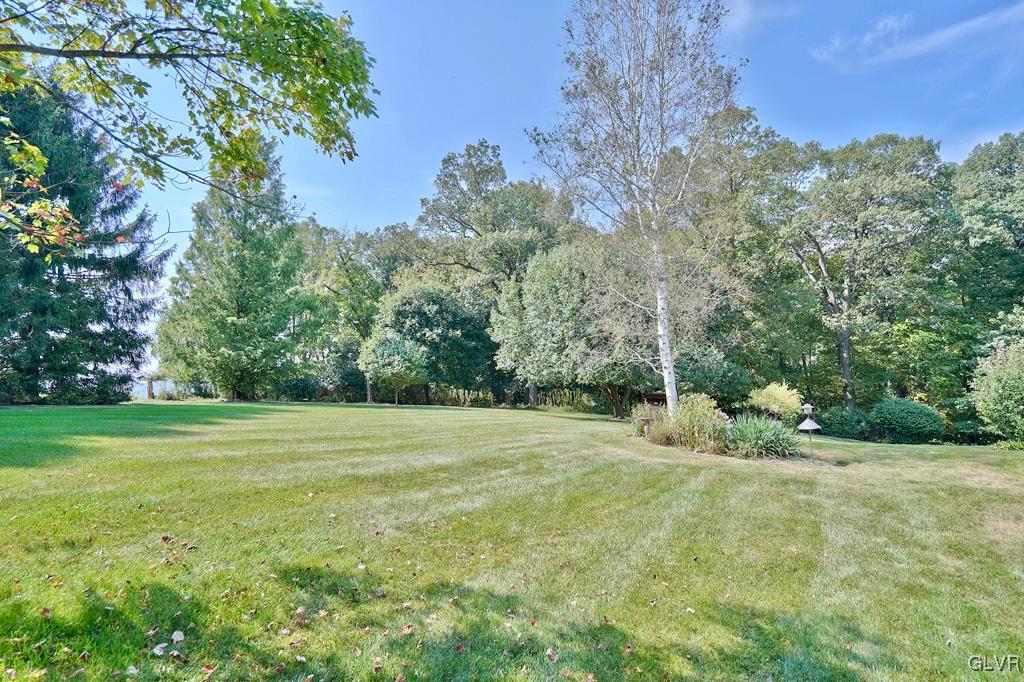 3708 Pine Tree Road Orefield, PA 18069 - Photo 36 of 40 a backyard of a house with lots of green space