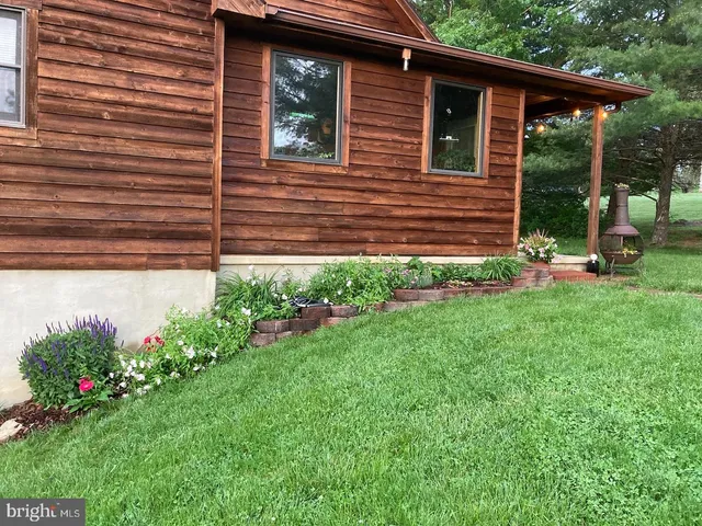 a view of a backyard with plants and a large tree