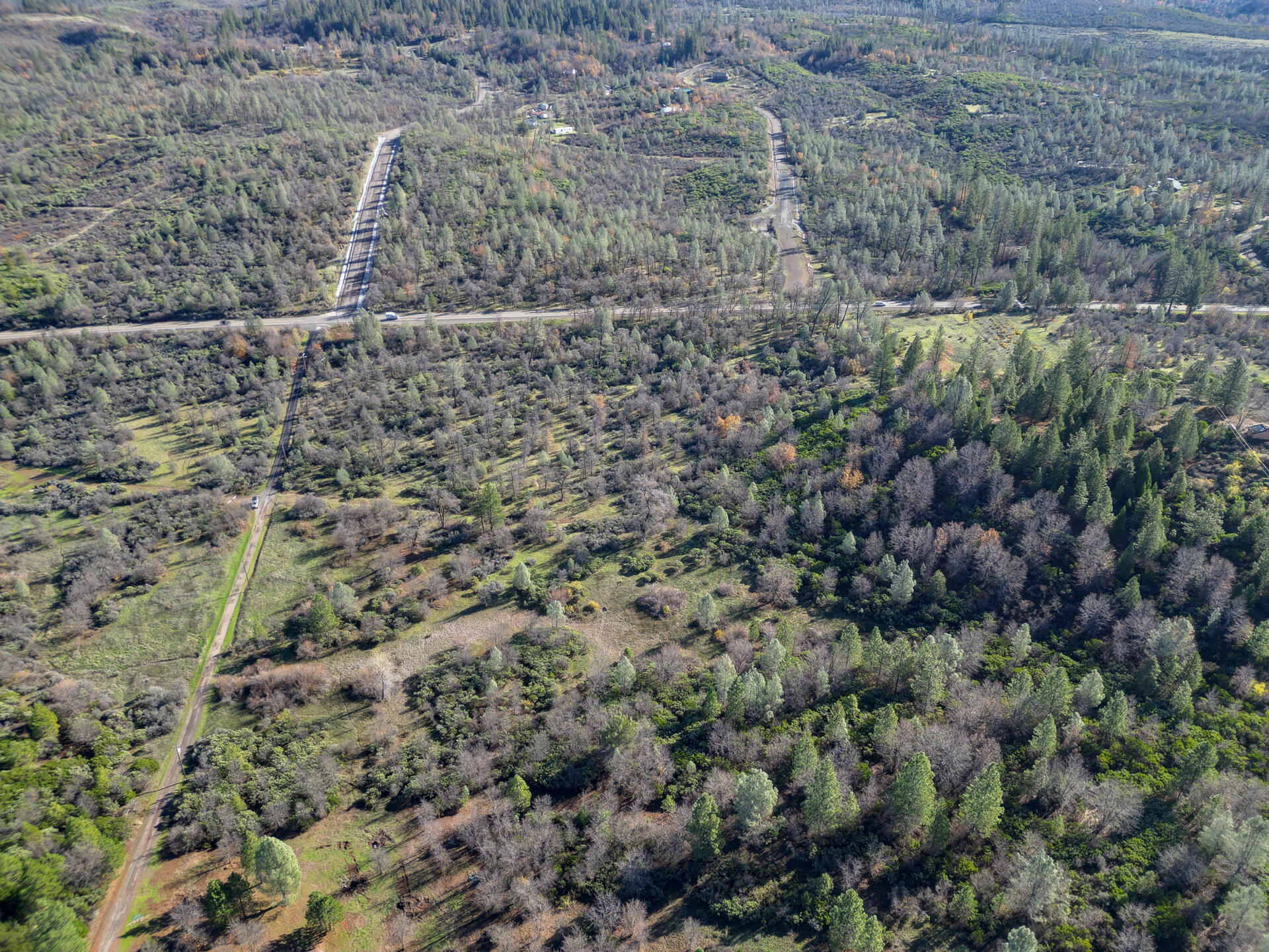 15.77 Acres Dittman Road Montgomery Creek, CA 96065 - Photo 22 of 26 IMG_3342