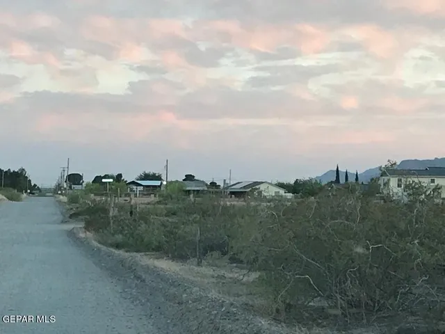 a view of a dry yard with trees