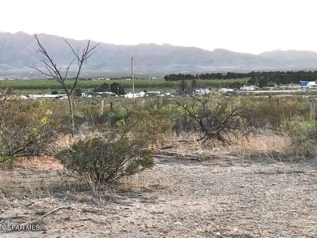a view of a lake in middle of forest