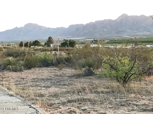 a view of a dry yard with mountains in the background