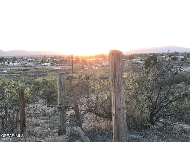 a view of a city with lush green forest