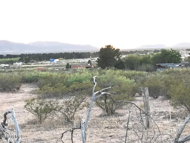 a view of a dry yard with wooden fence