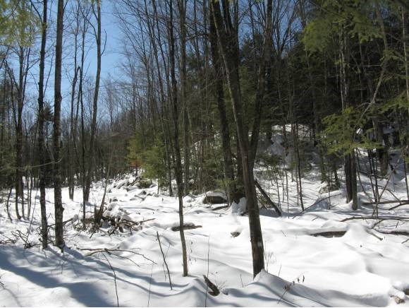 Lot#2 South Road Newbury, NH 03255 - Photo 1 of 1