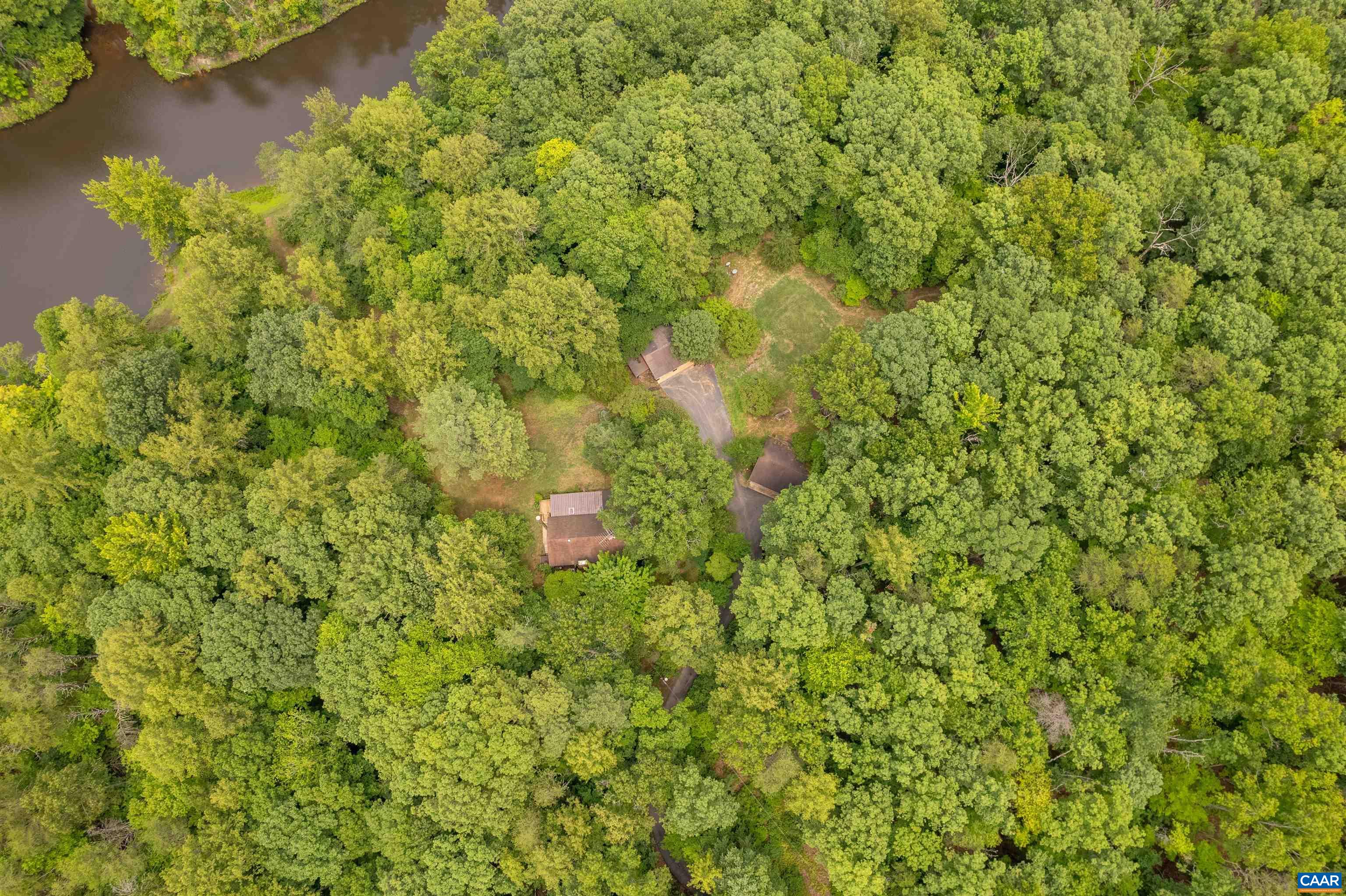 3882 Firehouse Road Howardsville, VA 24562 - Photo 3 of 75 a view of a small yard with plants and large trees