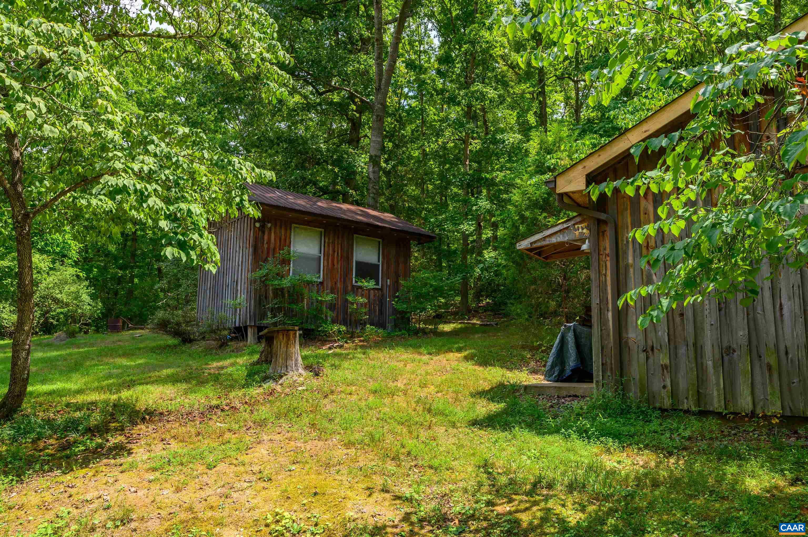 3882 Firehouse Road Howardsville, VA 24562 - Photo 48 of 75 a backyard of a house with plants and large tree