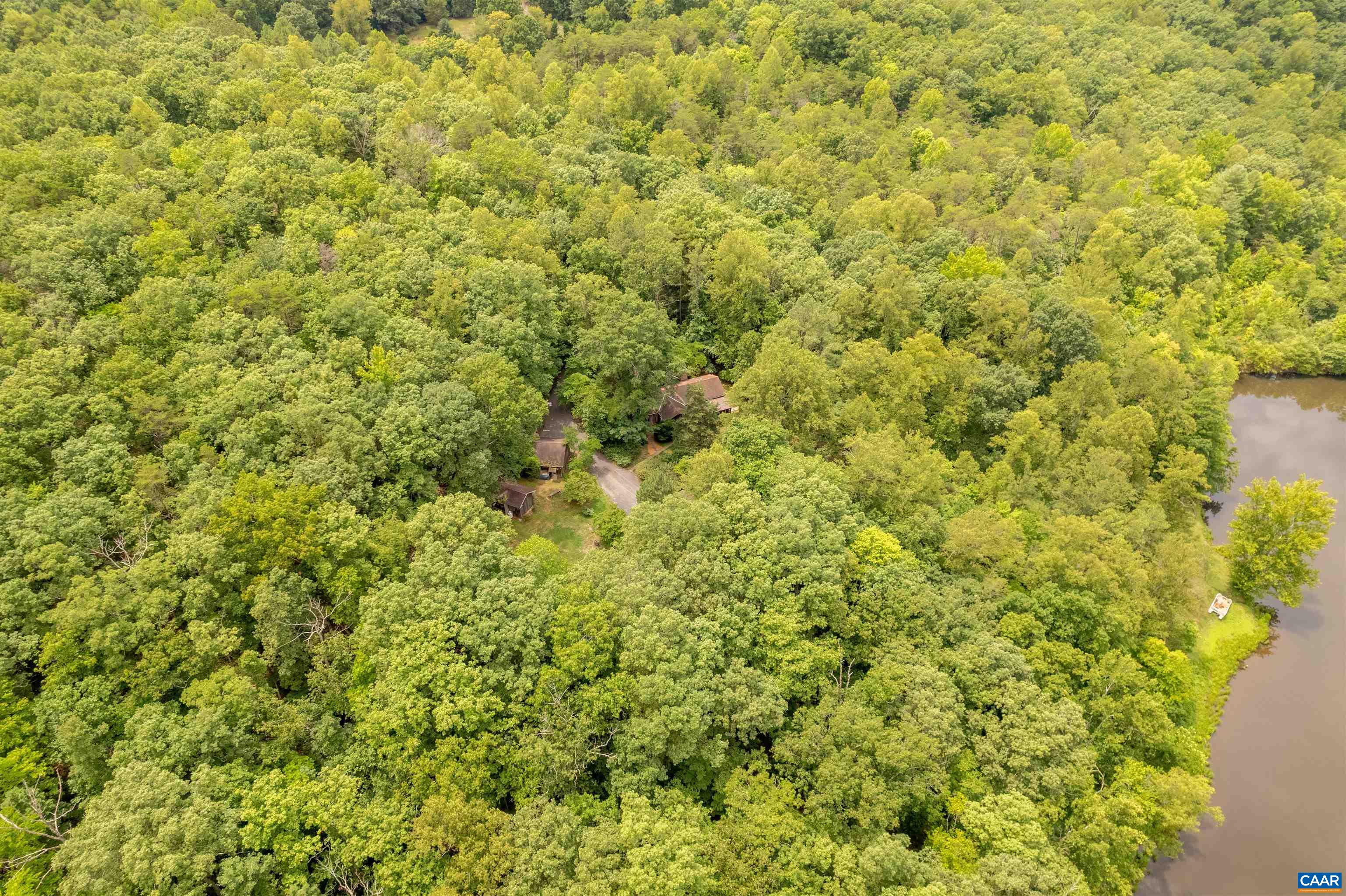 3882 Firehouse Road Howardsville, VA 24562 - Photo 61 of 75 a view of a big yard with plants and large trees