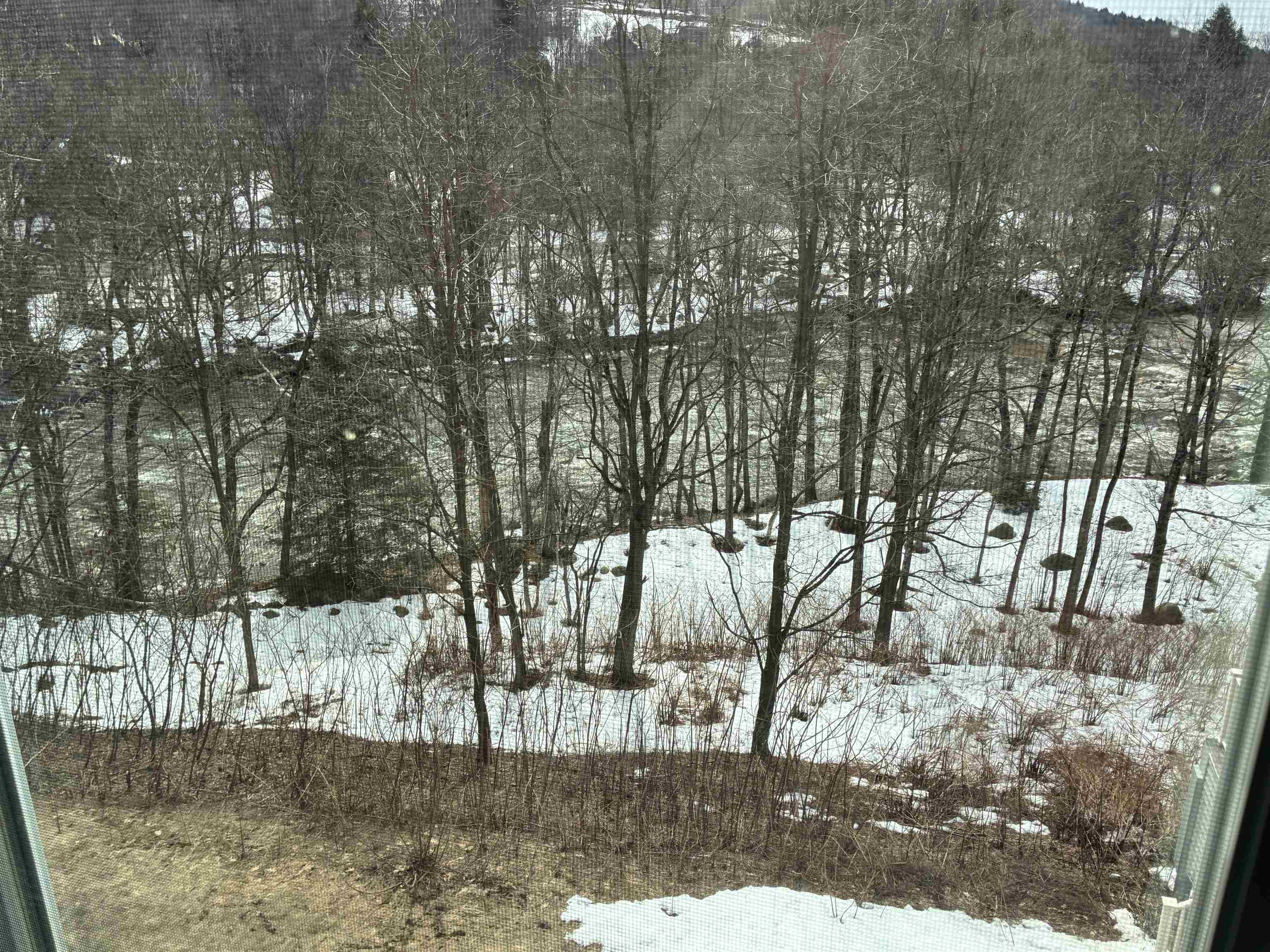 36 Lodge Road, Unit L302 Lincoln, NH 03251 - Photo 13 of 20