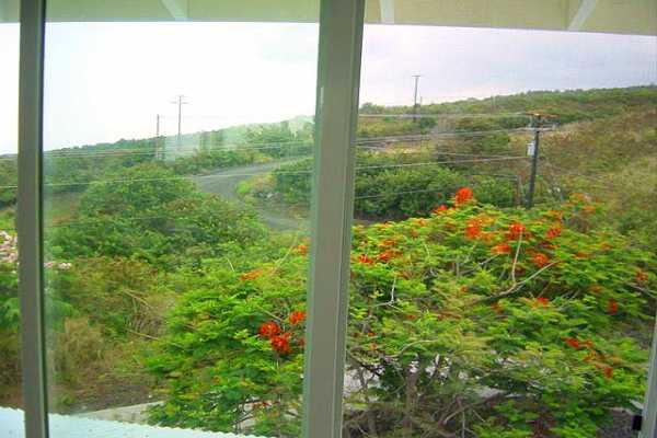 88-2256 Milolii Road Captain Cook, HI 96704 - Photo 5 of 15 a view of a garden from a window