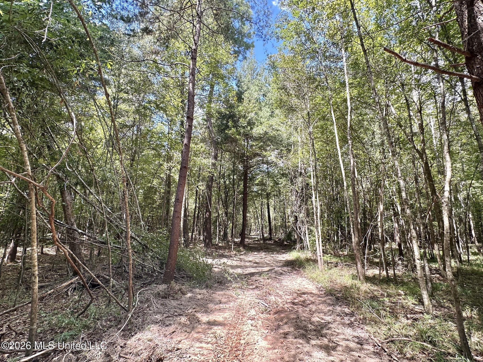4 Clara Foote Road Braxton, MS 39044 - Photo 20 of 34 47