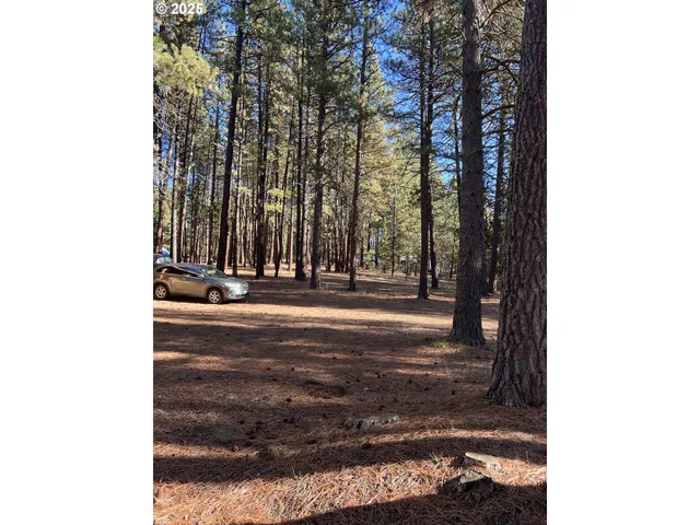 a outdoor view of a house with a lounge chair