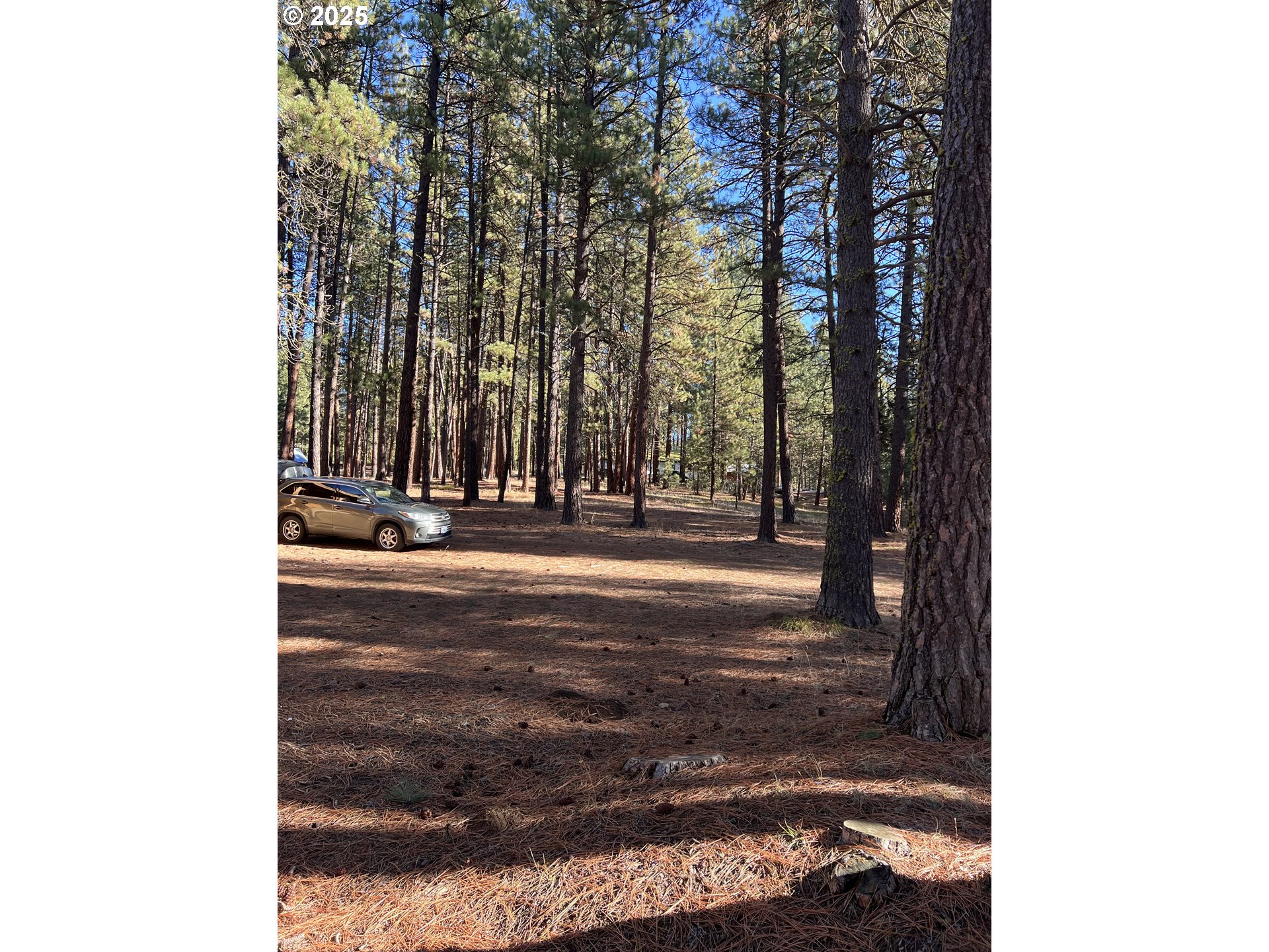 455 East Auburn Street Sumpter, OR 97877 - Photo 21 of 25 a view of a tree in the middle of a yard