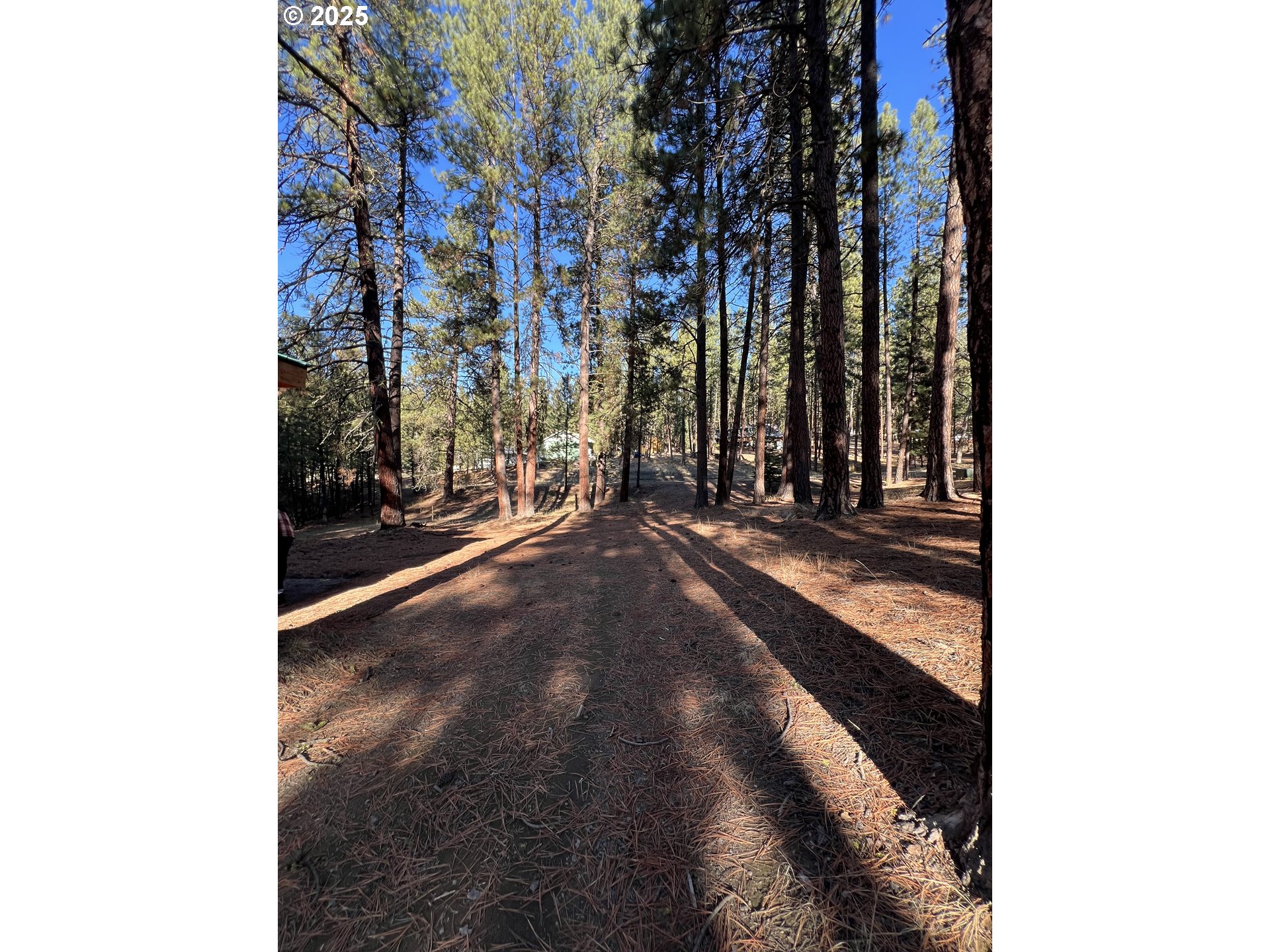 455 East Auburn Street Sumpter, OR 97877 - Photo 24 of 25 a view of a pathway