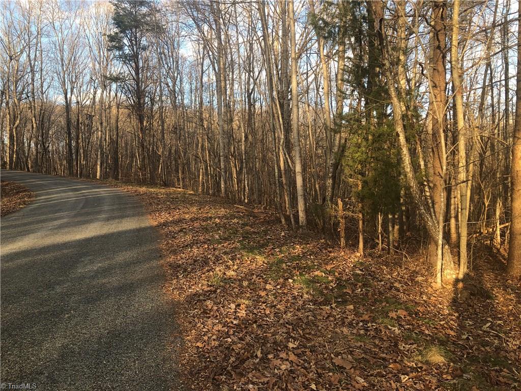 5.8-ac Augusta Hicks Road Walnut Cove, NC 27052 - Photo 15 of 15 Gallery Image 15
