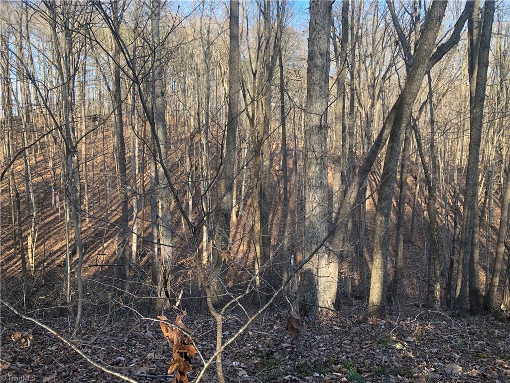 5.8-ac Augusta Hicks Road Walnut Cove, NC 27052 - Photo 3 of 15 Gallery Image 3